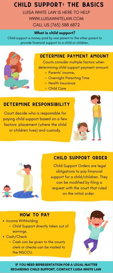 Infographic containing information that is helpful to know about child support from Luisa White Law, LLC.