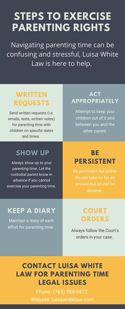 Infographic containing information about steps related to exercising parenting rights provided by Luisa White Law, LLC.